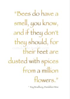 a quote on bees do have a smell, you know, and if they don't they should, for their feet are dusted with spices from a million flowers