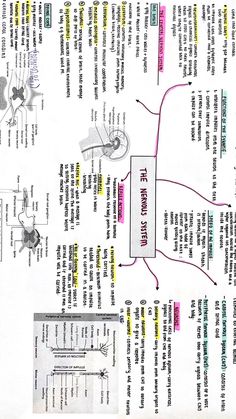 an image of a paper with instructions on how to use the motorbike engine