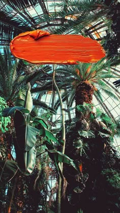 an orange sign hanging from the side of a palm tree in a glass ceilinged area