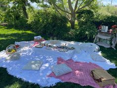 an outdoor picnic is set up on the grass