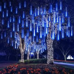 an illuminated tree in the middle of a park at night