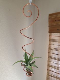 an air plant hanging from a metal rod