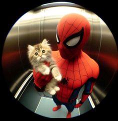 a kitten is standing next to a spider man