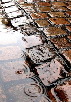 a brick road with puddles of water on it