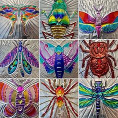 six different images of colorful bugs and insects in various colors, shapes and sizes are shown here