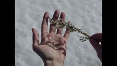 someone holding their hand up to the sky with snow in the backgroung