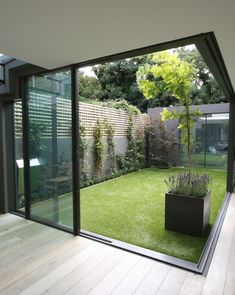 an open room with glass walls and grass in the center, leading to a small garden