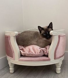 a siamese cat sitting in a pink and white chair