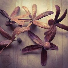 some very pretty flowers on a wooden table with one flower still attached to the petals