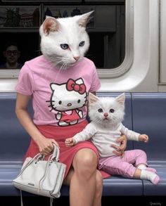 a white cat sitting on top of a woman's lap next to a kitten