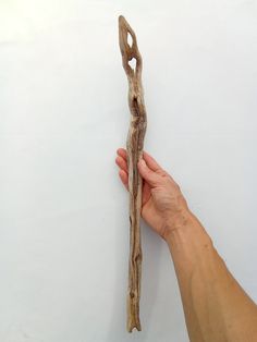 a hand holding a piece of driftwood in it's left hand on a white background