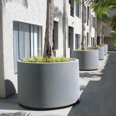 several planters are lined up on the side of a building with palm trees in them