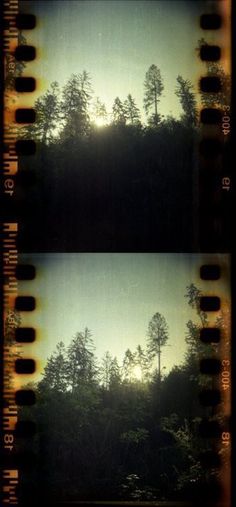 two film strips with trees in the background and sun shining through them on top of a hill