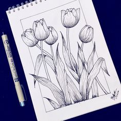 a pencil drawing of tulips on a sheet of paper next to a marker