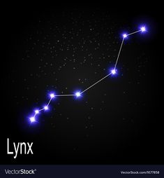 the lynx star in the night sky