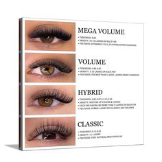 three different types of eyelashes with the words mega volumee, volumee and hybrid classic