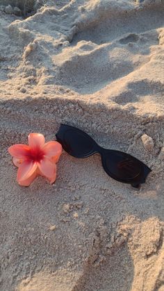 a flower laying on the sand next to sunglasses