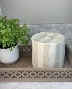 a potted plant sitting on top of a wooden tray next to a white vase