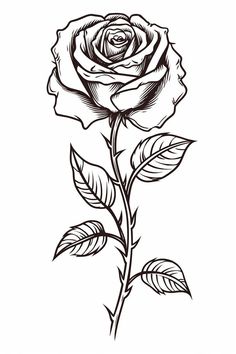 Rose Drawing Black And White, Black Roses Drawing, Black And White Rose Drawing, Easy Practice Drawings, Dark Rose Drawing, Rose With Thorns Drawing, White Roses Drawing, Black Rose Sketch, Black Rose Drawing