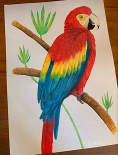 a colorful parrot sitting on top of a tree branch next to a piece of paper