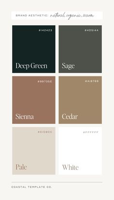 Color palette ideas for your next brand design, web design, or creative project by Coastal Template Co. Showit templates, Flodesk templates, Canva templates, and stock photography for small businesses. Black White And Natural Wood Color Palette, Timeless Color Schemes, Chaotic Academia Color Palette, Color Palette For Black Background, Moody Colors Palette, Neutral Moody Color Palette, Neutral Minimalist Color Palette, Country Club Color Palette, Black And Gold Color Pallet