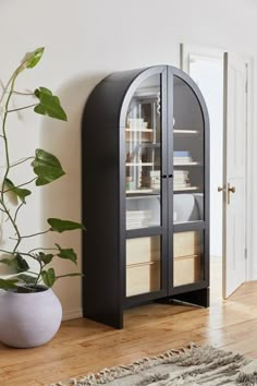 a tall black cabinet sitting next to a potted plant in a white vase on top of a hard wood floor