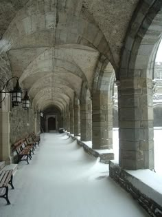 Academia Moodboard, Dark Academia Winter, Bryn Mawr College, Academic Aesthetic, Academia Light, Bryn Mawr, Chaotic Academia, Between Two Worlds, Hogwarts Aesthetic