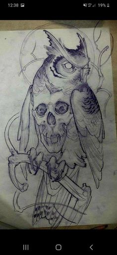 a drawing of a skull with an owl on it's head