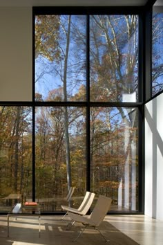 an empty living room with large windows looking out onto the woods outside at fall time