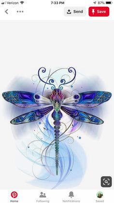 an image of a dragonfly with blue and purple wings