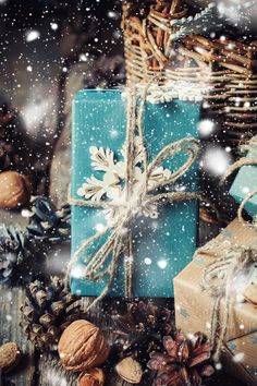 presents wrapped in blue paper and tied with twine, surrounded by pine cones and nuts