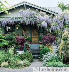 a house with lots of plants and flowers on the front