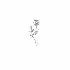 Small Daisy Tattoo, Daisy Tattoo Designs, Flor Tattoo, Daisy Flower Tattoos, Tiny Wrist Tattoos, Bts Tattoos, Daisy Tattoo