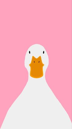 a white duck with an orange beak on a pink background