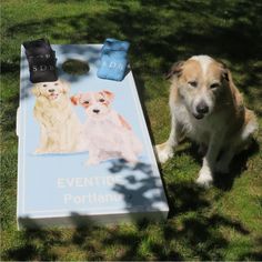 a dog sitting in the grass next to a cornhole board with two dogs on it