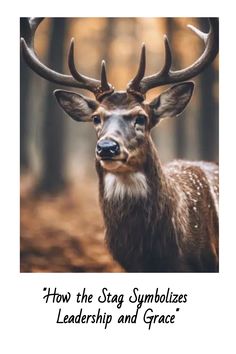 an image of a deer with antlers on it's head and the words how the stag symbolizes leadership and grace