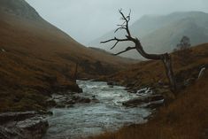 a small stream running through a lush green mountain valley next to a dry grass covered hillside