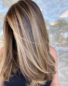 Light Hair On Top Dark On Bottom Brown, Shoulder Haircuts For Women Straight, Should Length Hairstyle Women, Dark Hair To Light Balayage, Natural Light Blonde Highlights, Hilights On Brunettes, Bayalage Blonde Ash, Alex Hall Hair, Straight Highlighted Hair