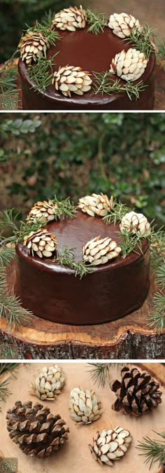 pine cones are arranged on top of a chocolate cake, and then topped with greenery