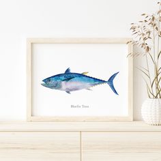 a bluefinish fish is shown in a white frame next to a vase with flowers