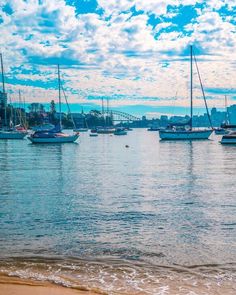 boats in sydney harbour with the bridge behind