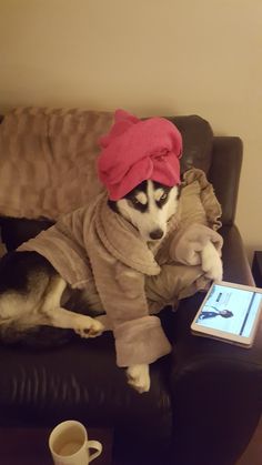 a dog wearing a robe on top of a couch next to a cup and tablet