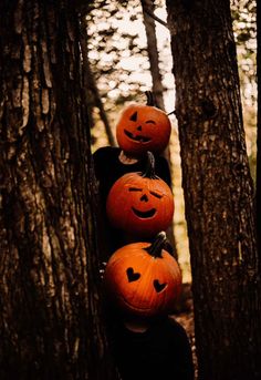 three pumpkins stacked on top of each other in the woods