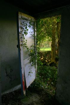 an open door with vines growing out of it in the middle of a room filled with grass