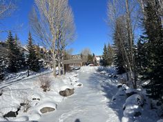 a snow covered road with trees and houses in the background