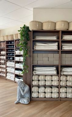 a room filled with lots of white plates and bowls on shelves next to a plant