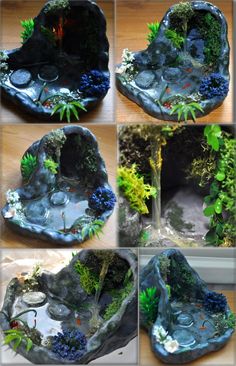 several pictures of different types of rocks and plants in the shape of fishbowts