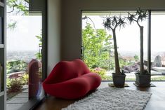 a red chair sitting in front of a window next to a potted plant on top of a white rug