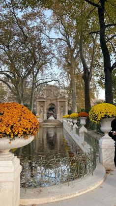 a woman taking a photo of some flowers in front of a water fountain and trees