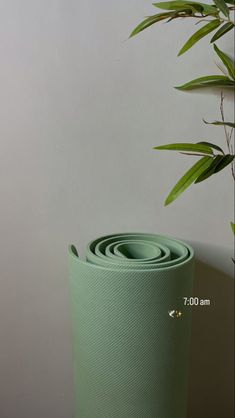 a roll of yoga mat sitting next to a potted plant